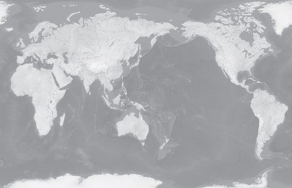 Custom World map in Silver